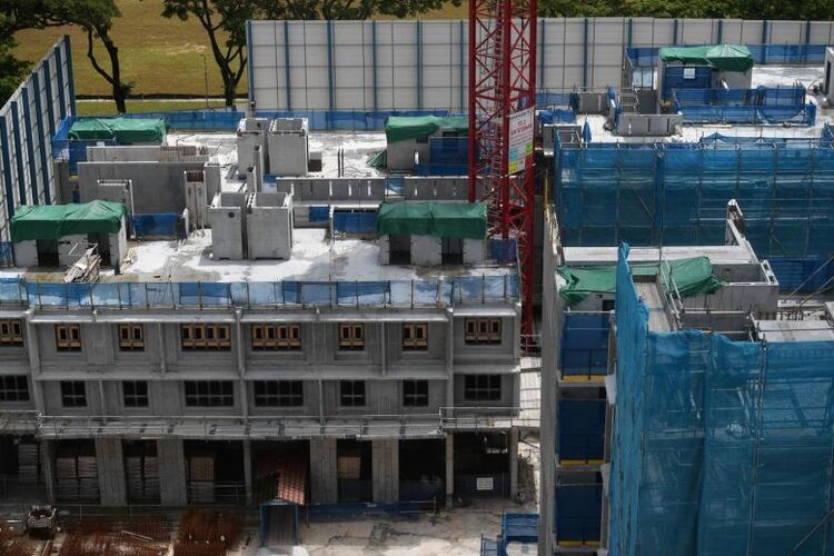 nz construction 290579